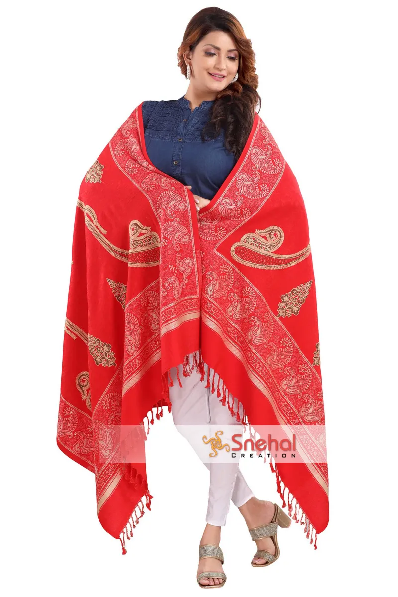 Indian Shawls Wraps Head Scarf Scarves for Women